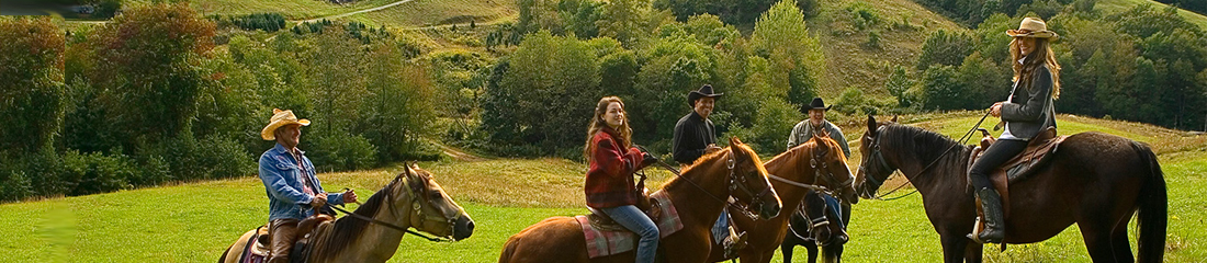 Езикова ваканция + конна езда в Англия!