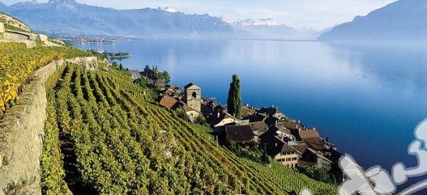 European University - Montreux 