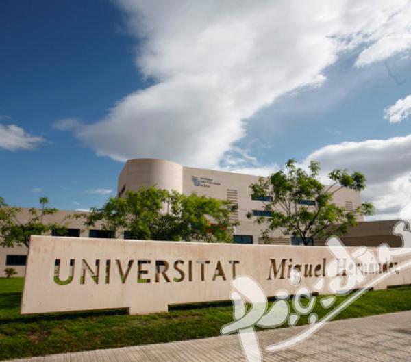Universidad Miguel Hernandez de Elche 