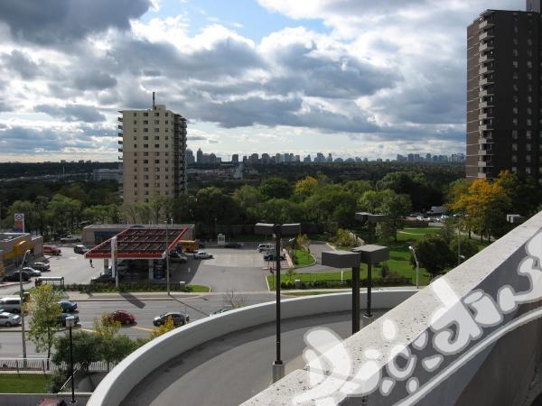 Canadian International Academy of Business and Technology