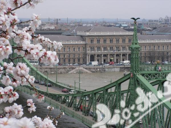 Corvinus University of Budapest